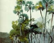 温斯洛 荷默 : Homosassa River